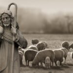 religion, faith, shepherd